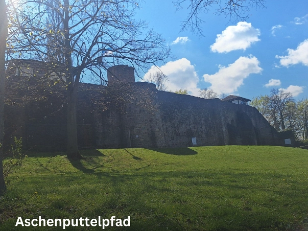 Zu sehen ist die Burgruine Polle sowie der Bergfried mit der blau-weißen Fahne des Flecken Polle. Im Vordergrund recht und links im Bild sind einige Büsche und Bäume zu sehen.&nbsp;&copy;&nbsp;Samtgemeinde Bodenwerder-Polle