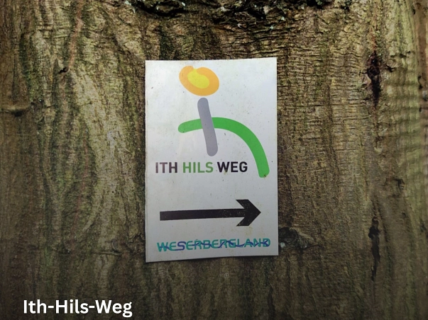Ith-Hils-Weg.jpg Auf dem Bild ist die Nahaufnahme eine Baumstammes zu sehen, rechts und links im Hintergrund Ausschnitte des Waldes. Auf dem Baumstamm ist das Markierungszeichen des Ith-Hils-Weges angebracht. Dieses ist auf weißem Hintergrund und zeigt ein "i" mit grauem Strick und gelbem Punkt. Hinter dem Strich zieht sich ein grüner Halbbogen. Darunter ist ein schwarzer Pfeil nach rechts zu sehen. Ganz unten ist das Logo des Weserbergland Tourismus in grün und blau zu sehen. © SVR/ J. Thamer