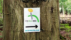 Auf dem Bild ist die Nahaufnahme eine Baumstammes zu sehen, rechts und links im Hintergrund Ausschnitte des Waldes. Auf dem Baumstamm ist das Markierungszeichen des Ith-Hils-Weges angebracht. Dieses ist auf weißem Hintergrund und zeigt ein "i" mit grauem Strick und gelbem Punkt. Hinter dem Strich zieht sich ein grüner Halbbogen. Darunter ist ein schwarzer Pfeil nach rechts zu sehen. Ganz unten ist das Logo des Weserbergland Tourismus in grün und blau zu sehen.&nbsp;&copy;&nbsp;CC BY-SA: SVR/ J. Thamer