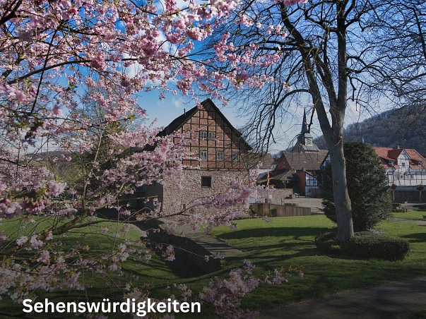 Sehenswürdigkeiten.jpg Im Vordergrund sind die rosa7pink-blühenden Zweige eines Baumes zu sehen. Im Hintergrund ist das Münchhausen-Museum von der Seite zu sehen. Dieses ist ein rotes Fachwerkgebäude auf einer Sandstein-Mauer. Daneben ist noch ein Teil der Bäume und Grünfläche des Rathausparks Bodenwerder zu sehen. © Samtgemeinde Bodenwerder-Polle/Rolf Sander